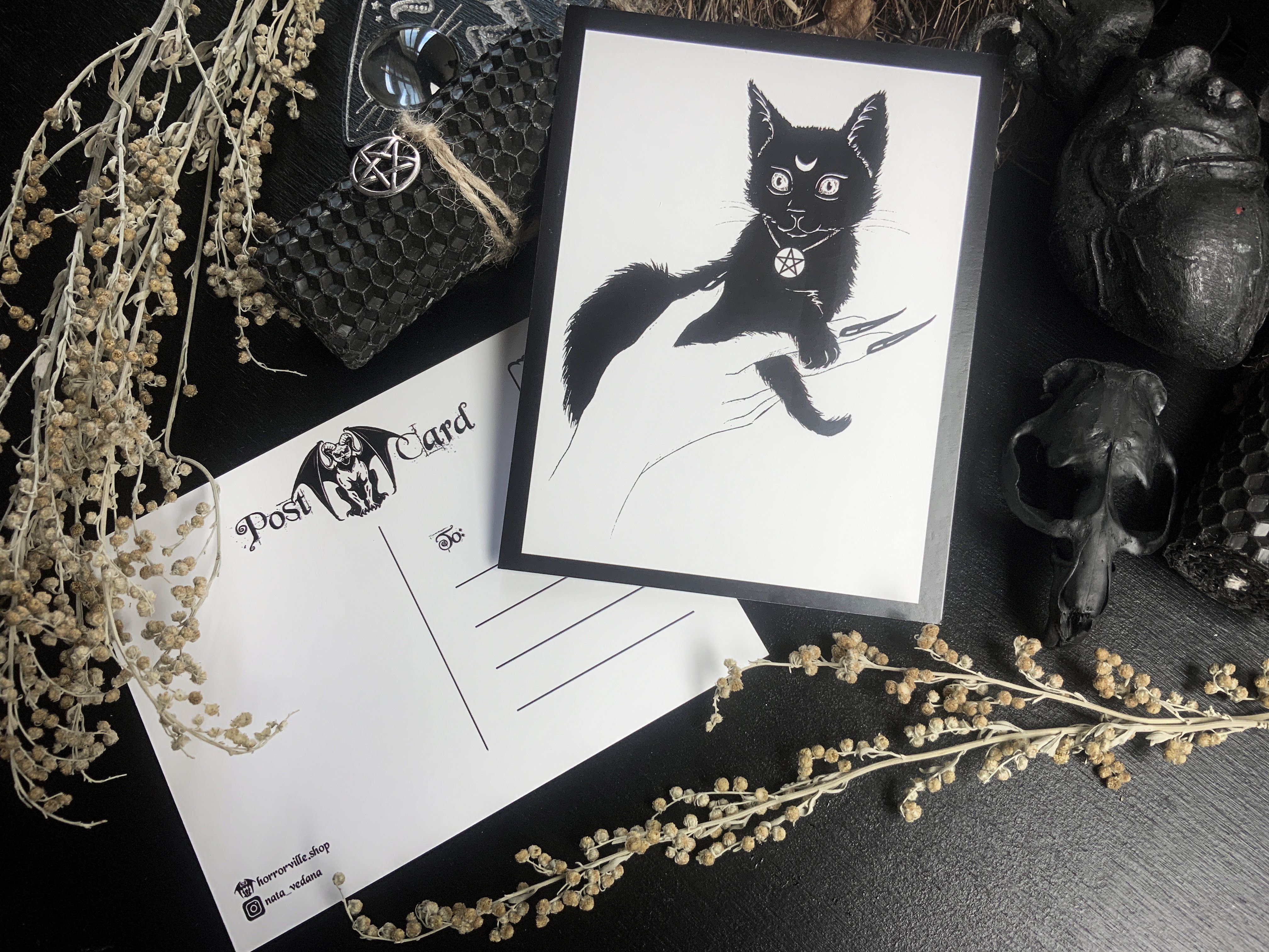 Postcard - Black Kitten