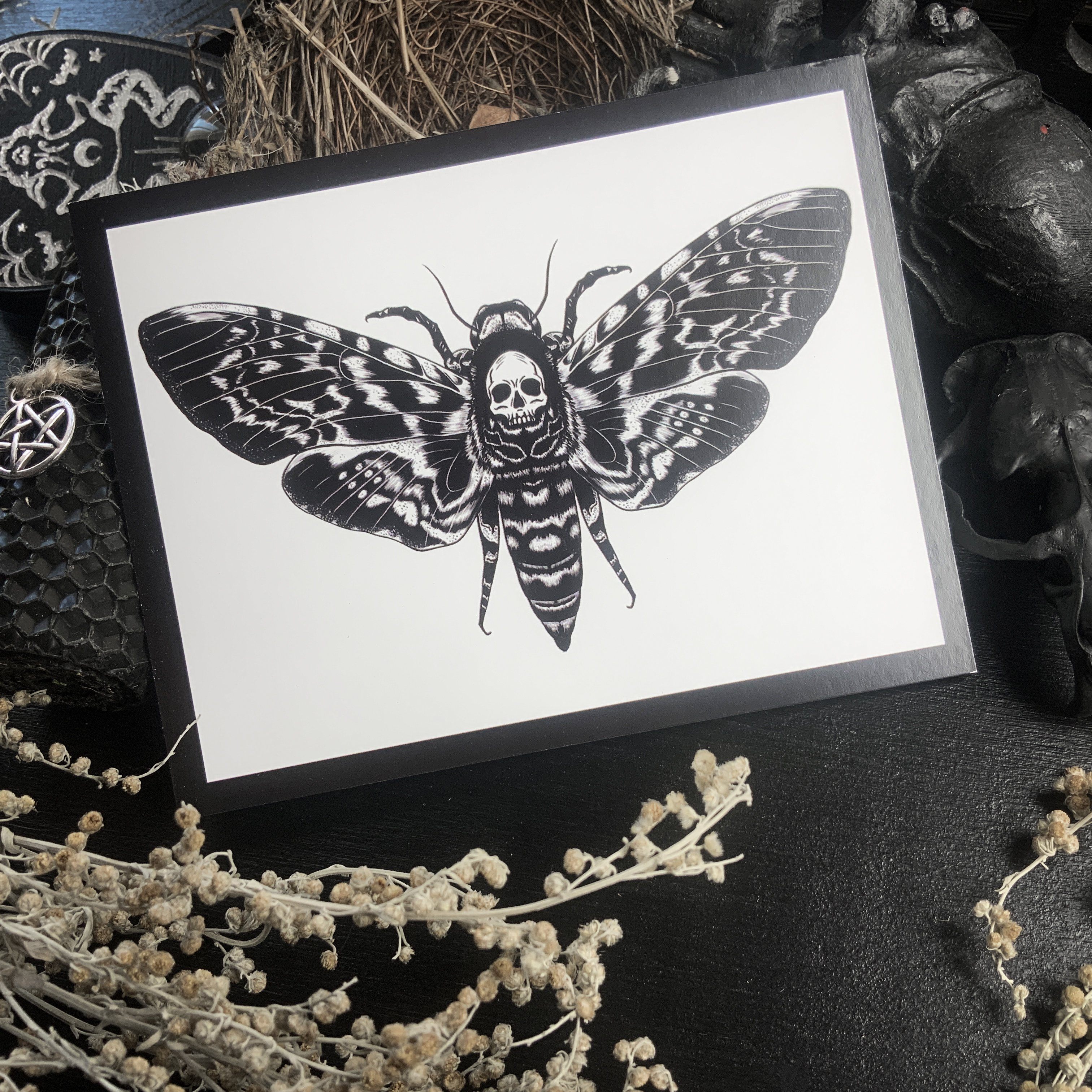 Postcard - Death's-head hawkmoth