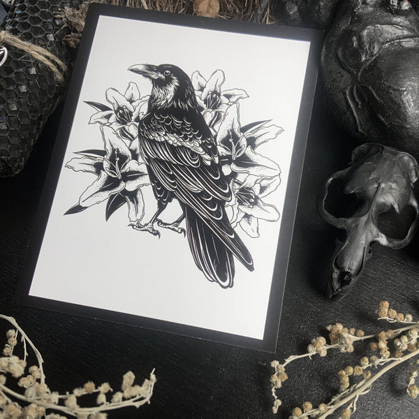 Postcard - Raven Lilies