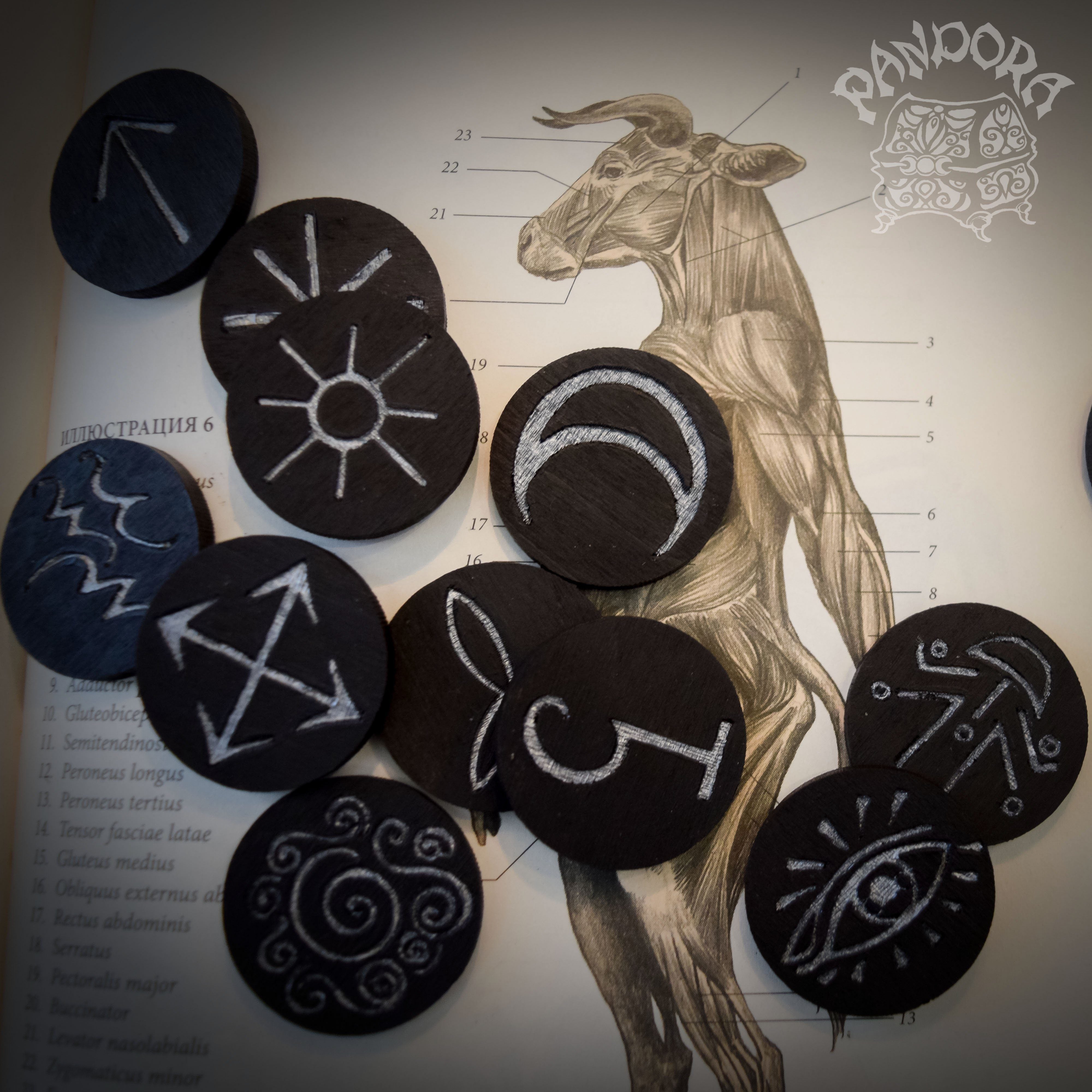 Rune - Witch Runes, Black Wood - 13