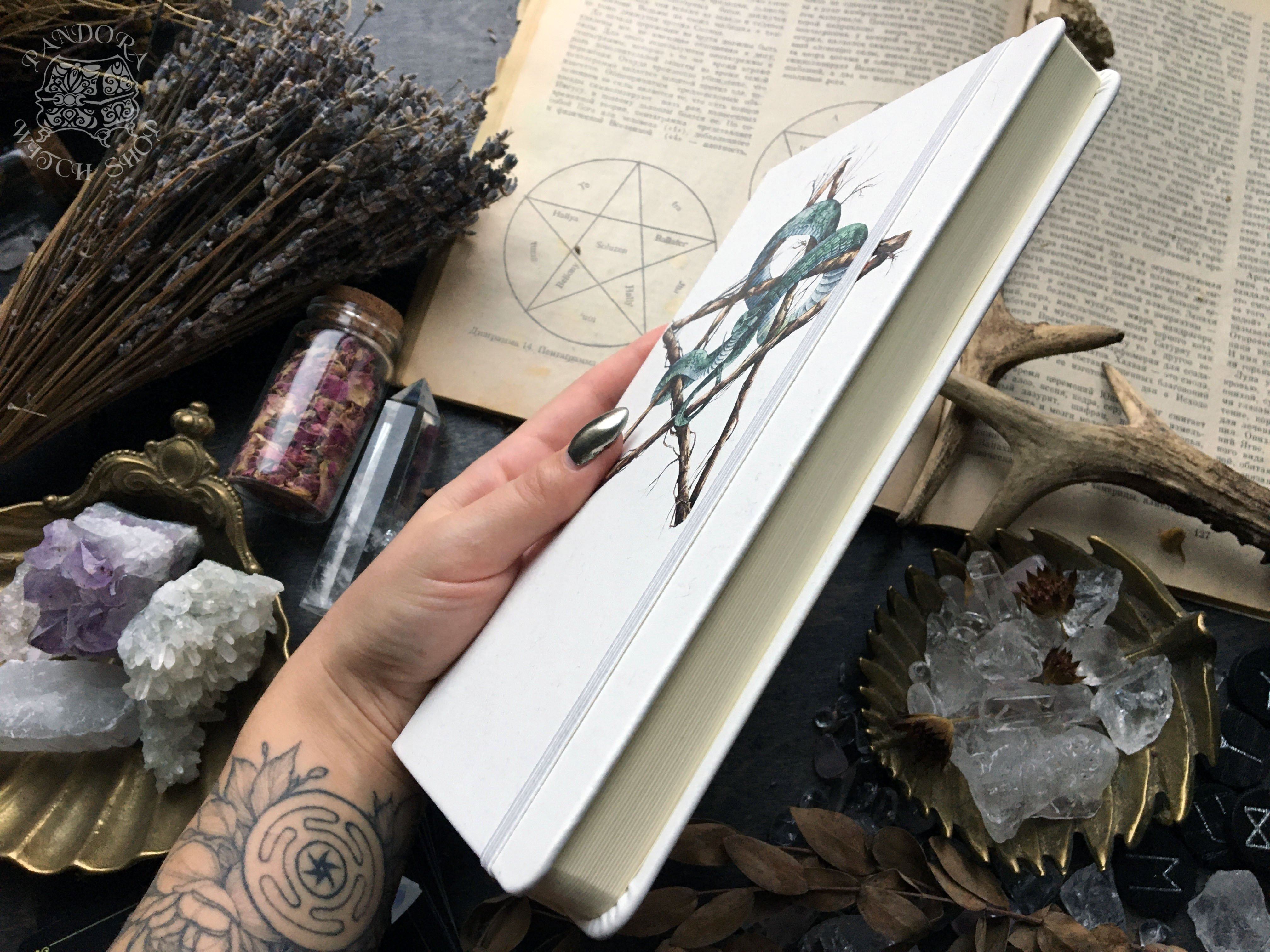 Sketchbook - "Snake Pentagram"