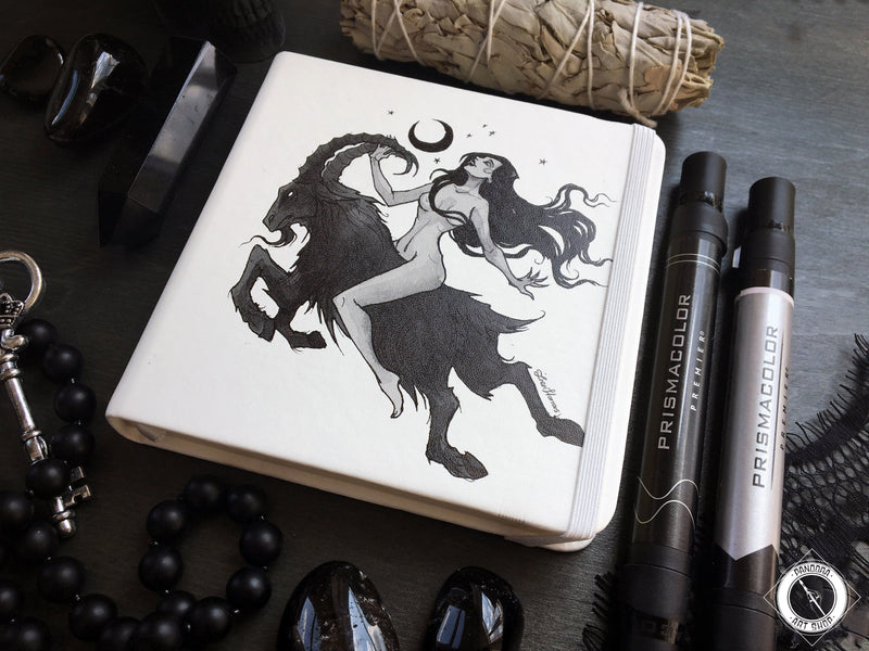 Sketchbook - Sketchbook - Witch Flight