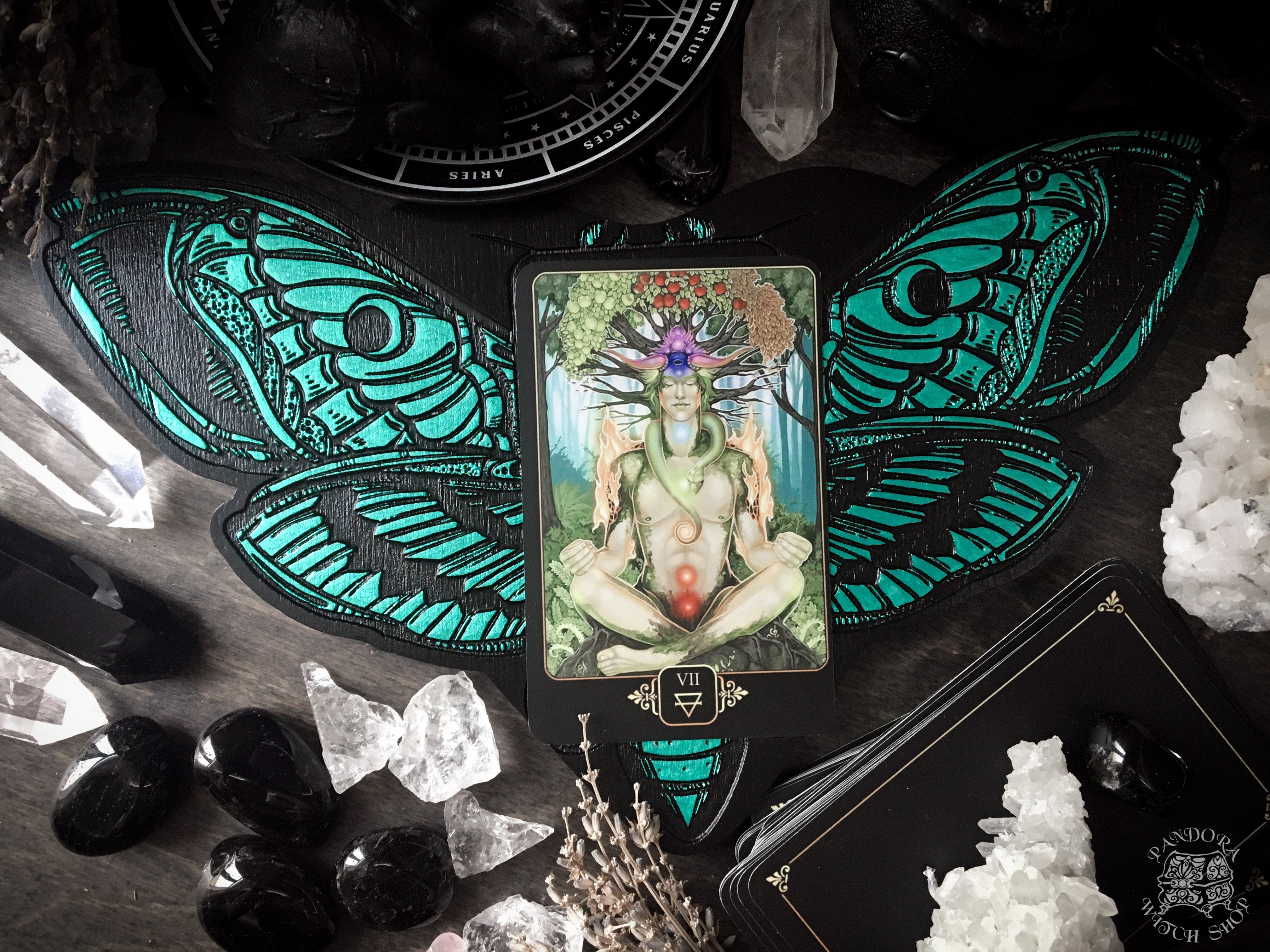 Tarot Board Card of the Day - EMERALD DEATH'S HEAD MOTH