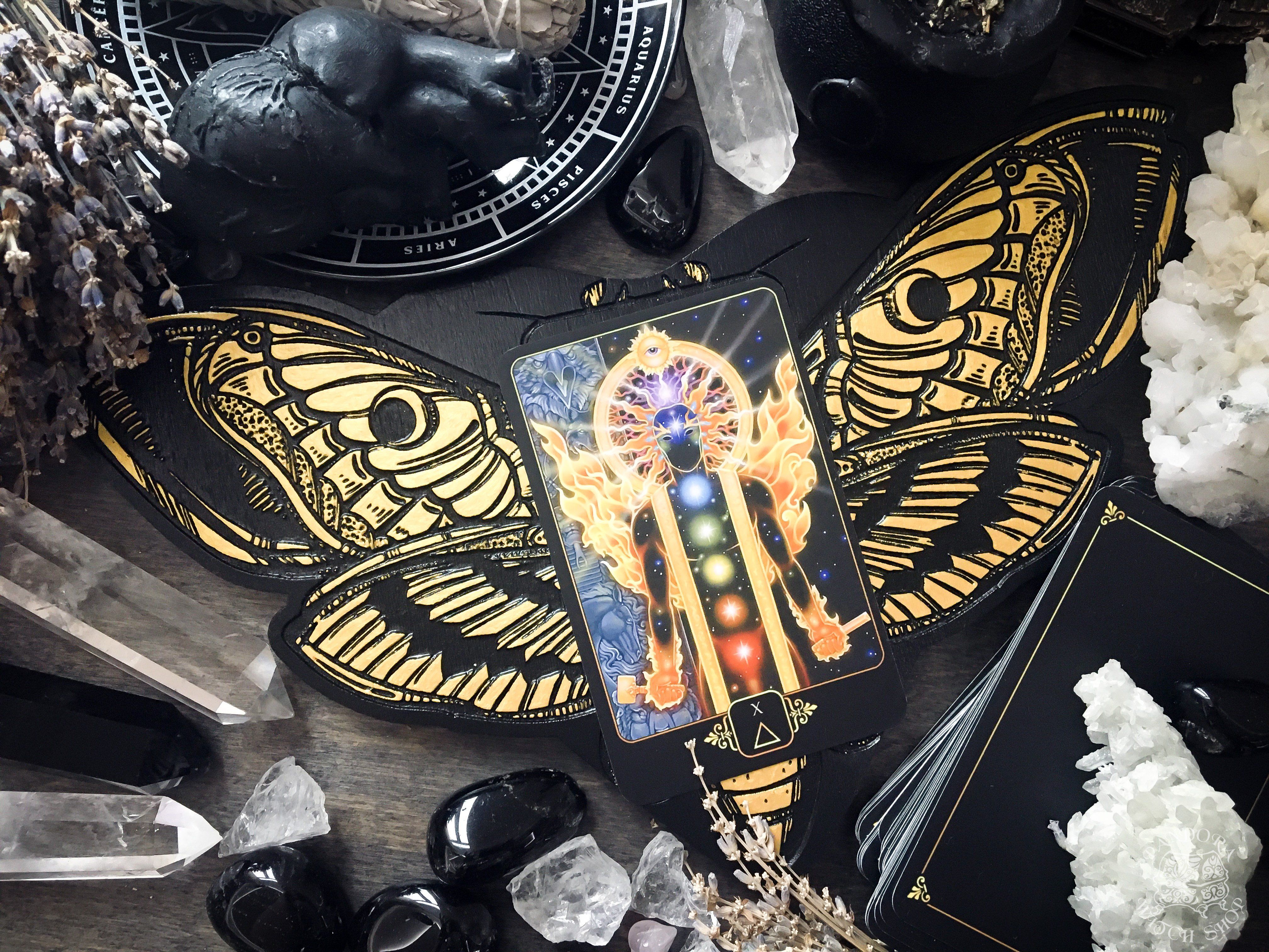 Tarot Board Card of the Day - BLACK AND GOLD DEATH'S HEAD MOTH