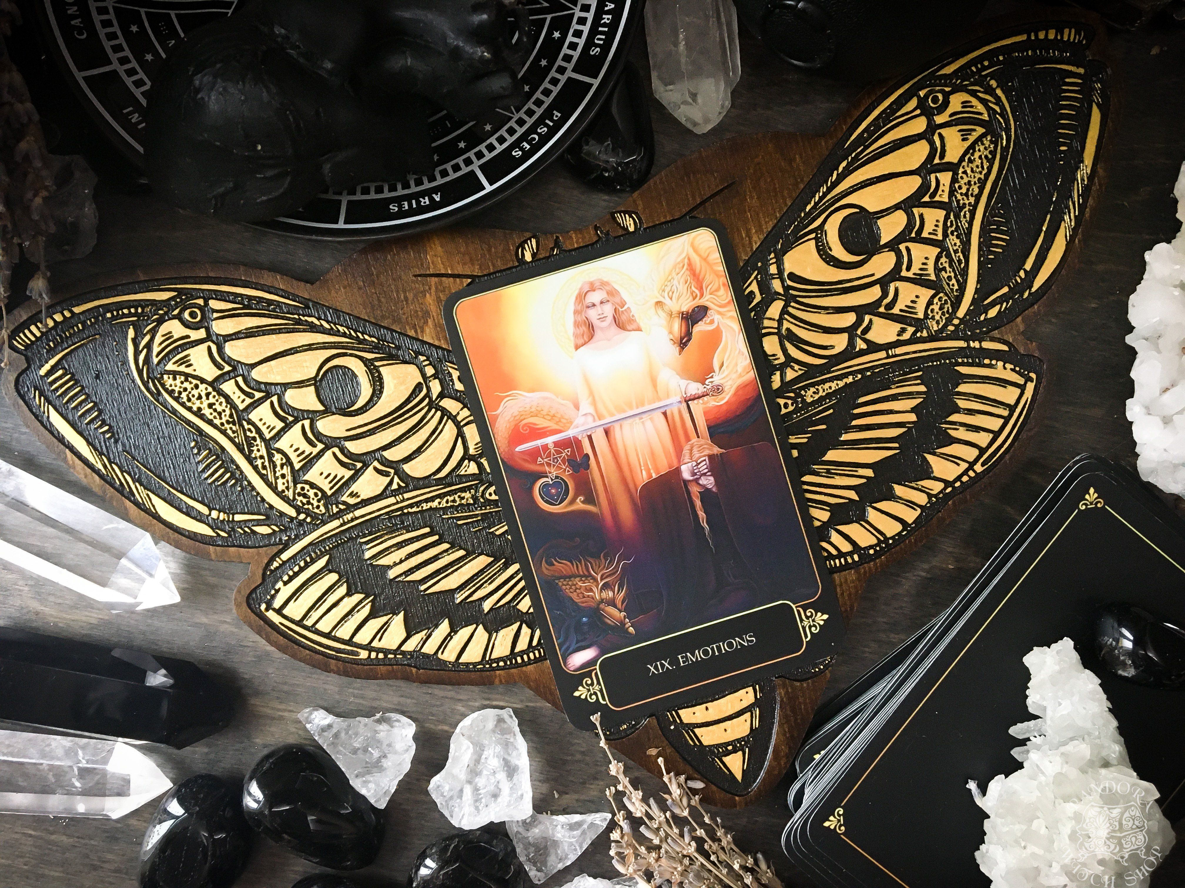 Tarot Board Card of the Day - GOLDEN DEATH'S HEAD MOTH