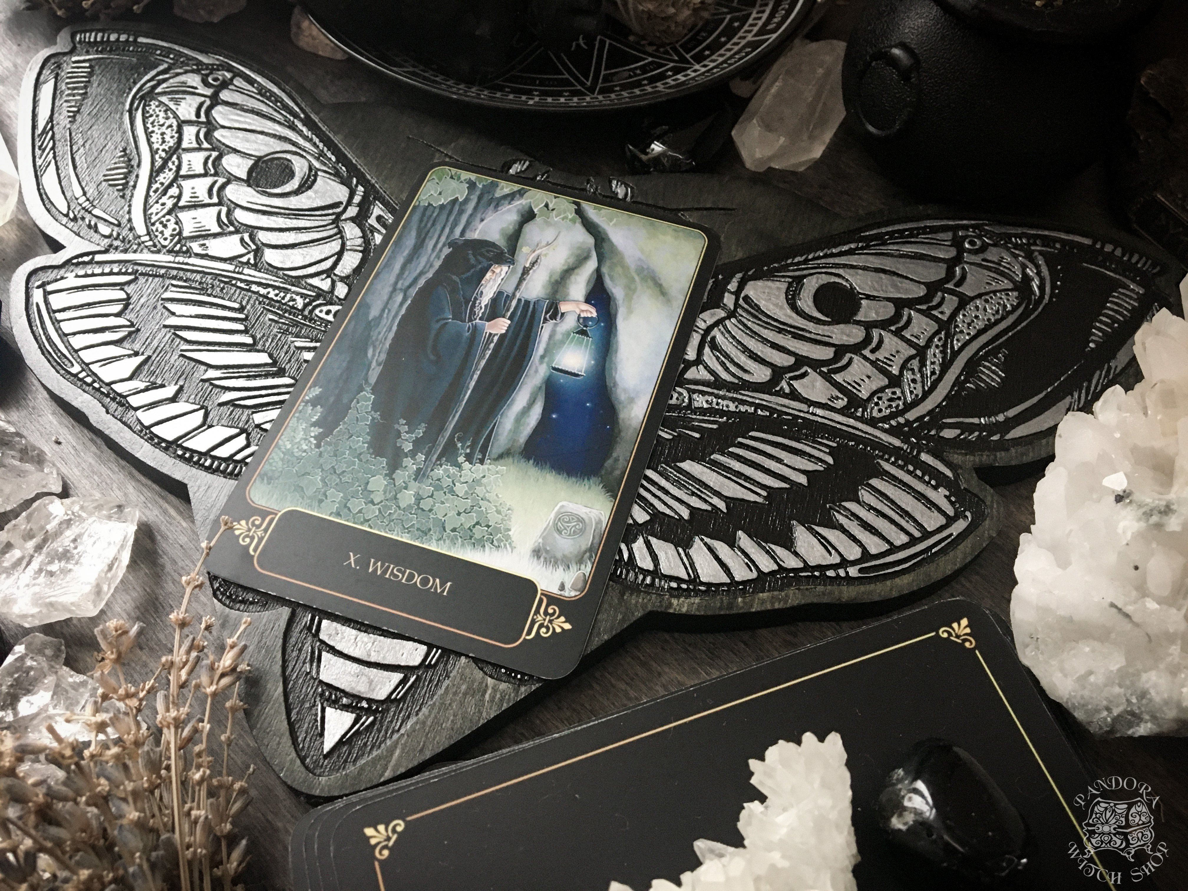 Tarot Board Card of the Day - GRAY DEATH'S HEAD MOTH