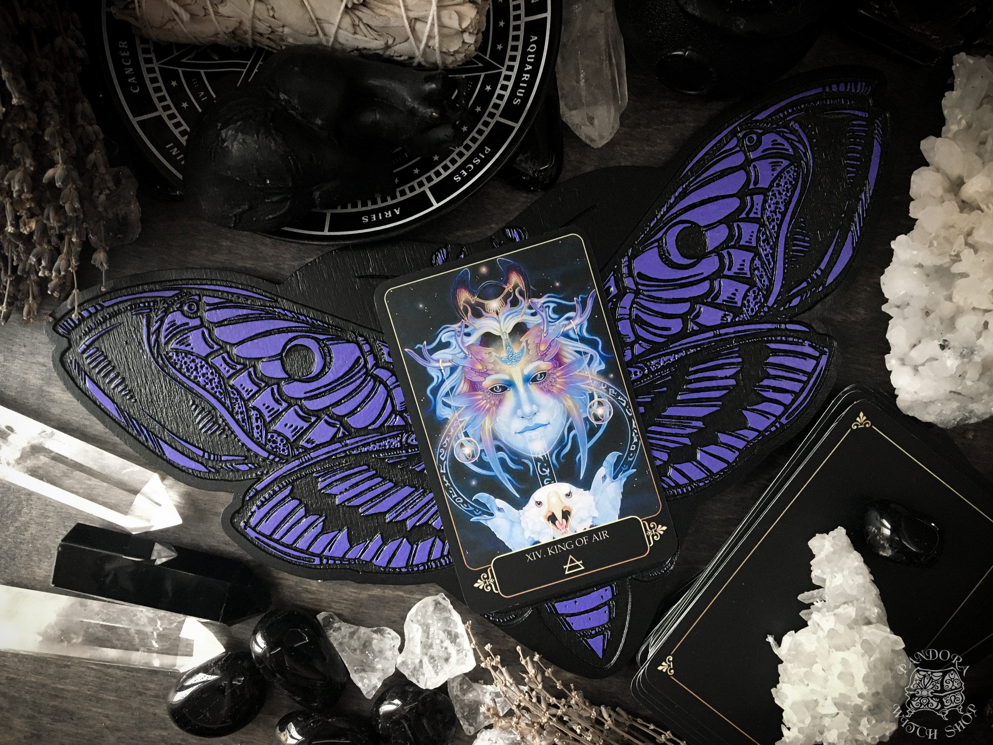 Tarot Board Card of the Day - BLACK AND VIOLET DEATH'S HEAD MOTH